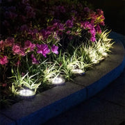 Brillora™ | Design Solar-Bodenstrahler